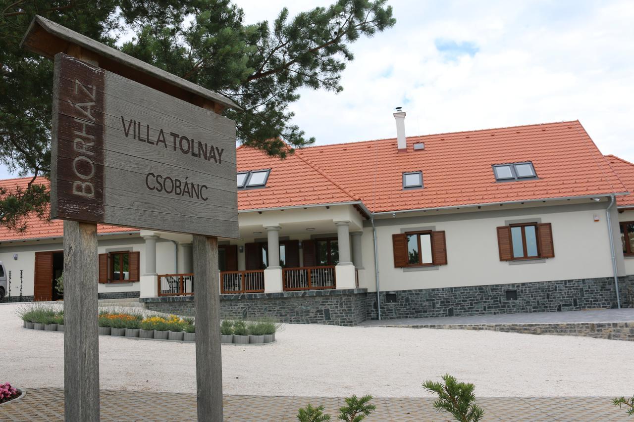 Villa Tolnay Vendeghaz Gyulakeszi Eksteriør billede