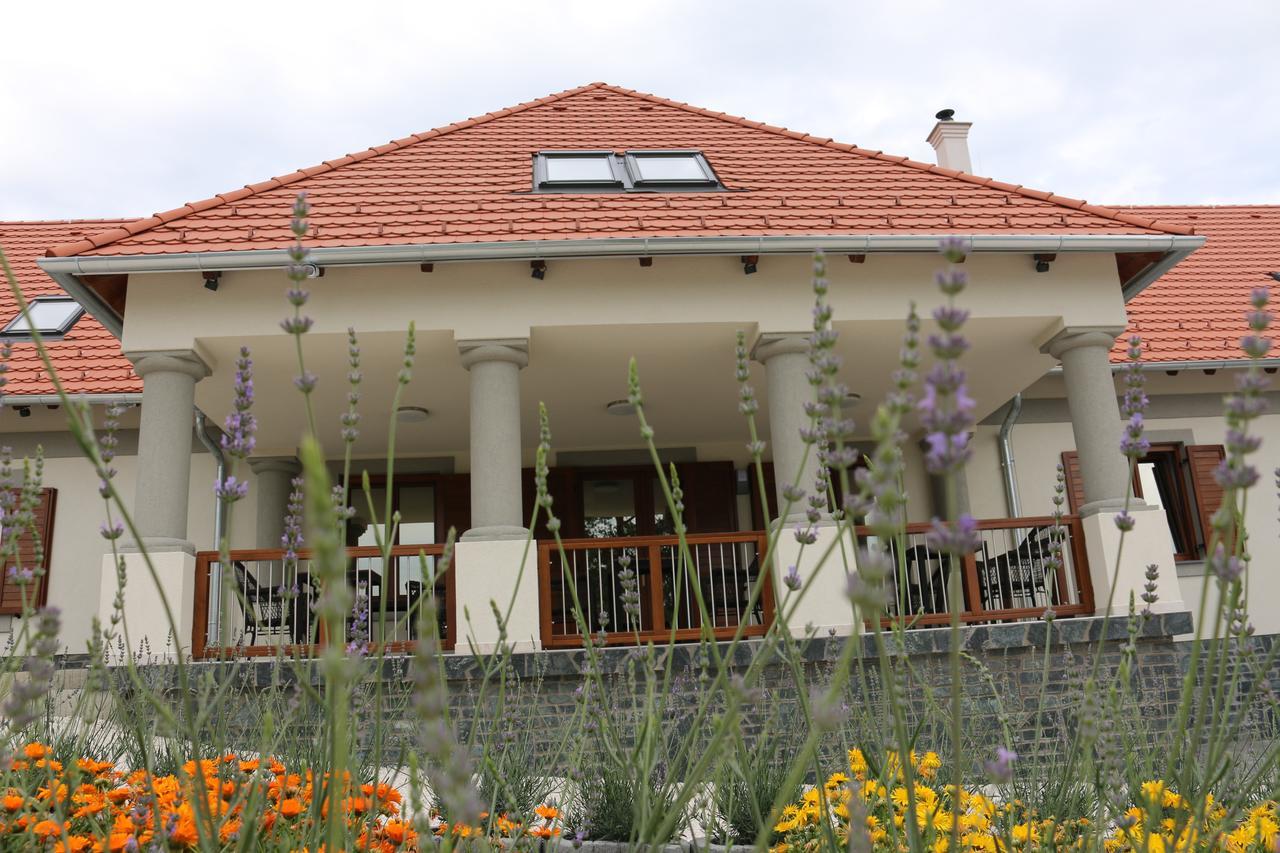 Villa Tolnay Vendeghaz Gyulakeszi Eksteriør billede